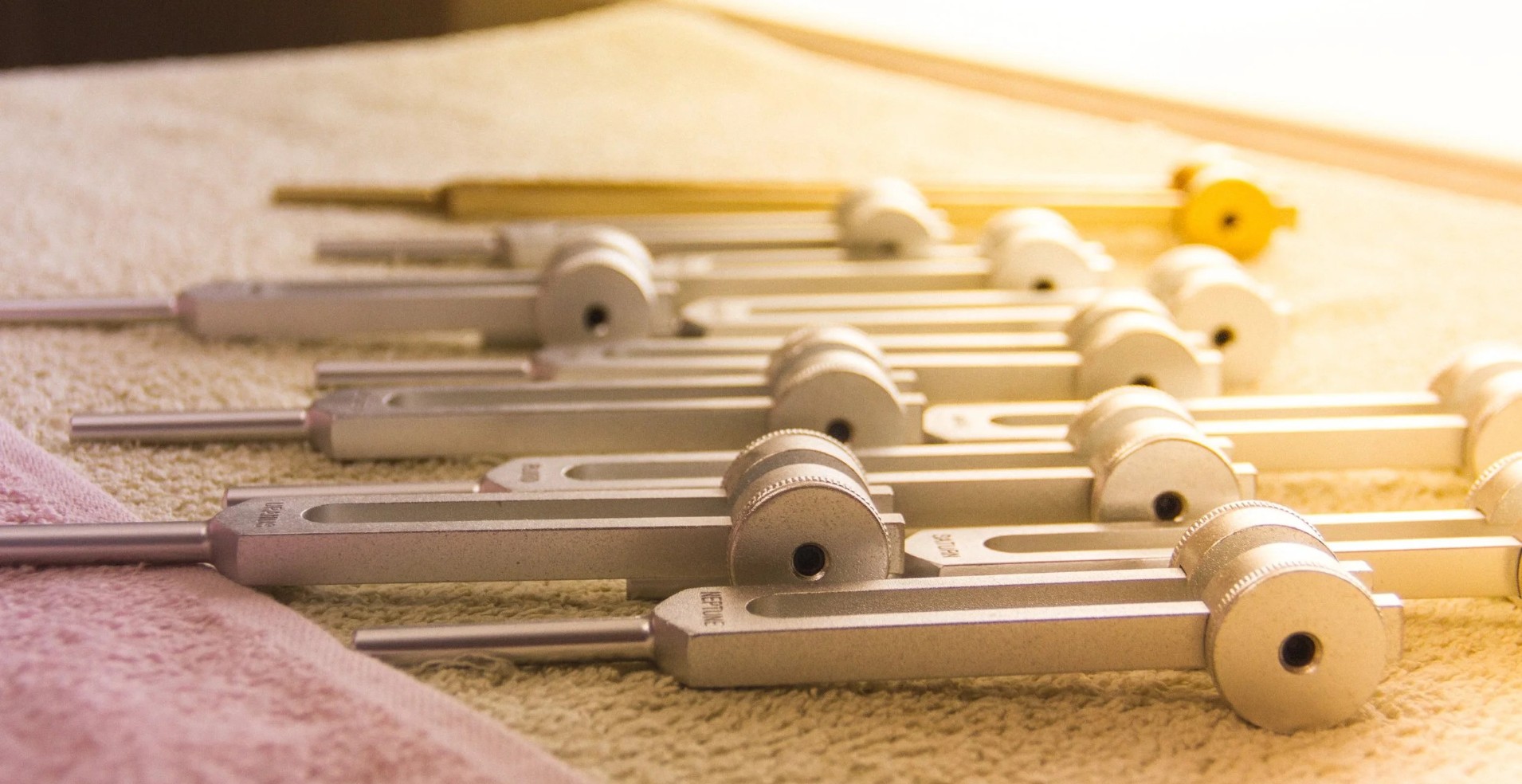 NIEUW! Cursus Werken met Stemvorken